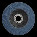 Sealey Zirconium Abrasive Flap Disc - 100mm, 80g