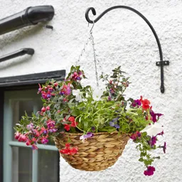 Smart Garden Hyacinth Hanging basket, 35cm