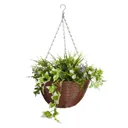 Smart Garden Easy artificial Plastic Hanging basket, 30cm