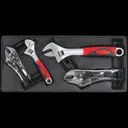 Sealey 4 Piece Locking Plier and Adjustable Spanner Set in Module Tray