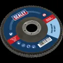 Sealey Zirconium Abrasive Flap Disc - 125mm, 40g