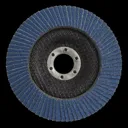 Sealey Zirconium Abrasive Flap Disc - 125mm, 40g