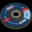 Sealey Zirconium Abrasive Flap Disc - 125mm, 60g