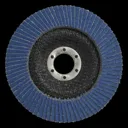 Sealey Zirconium Abrasive Flap Disc - 125mm, 60g