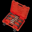 Sealey 6 Piece Axial Locking Grip Clamp Set