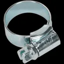 Sealey High Grip Zinc Plated Hose Clips - 13mm - 20mm, Pack of 30