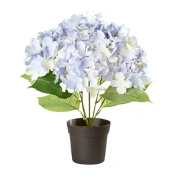 Blue Hydrangea Decorative plant