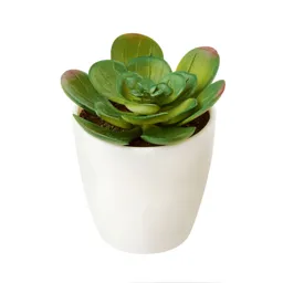 10cm Succulent Decorative plant