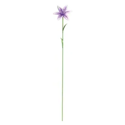 The Outdoor Living Company Lilac Lily Garden stake (L)640mm