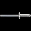 Sealey Blind Aluminium Rivets - 6.4mm, 19.5mm, Pack of 200