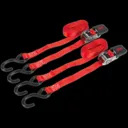 Sealey Ratchet Tie Downs Polyester Webbing - 25mm, 4m, 800kg