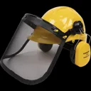 Sealey Forestry Safety Helmet Kit
