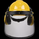 Sealey Forestry Safety Helmet Kit