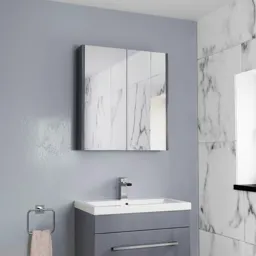 Aurora Double Door Grey Gloss Mirror Cabinet 650 x 600mm