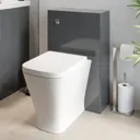 Regis Grey Gloss Concealed Cistern Unit & Marseille Toilet - 500mm Width (215mm Depth)