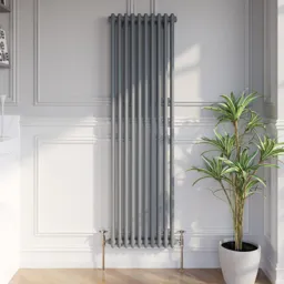 Park Lane Traditional Vertical Colosseum Double Bar Column Radiator Anthracite - 1600 x 470mm