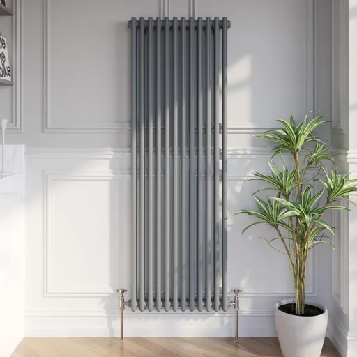 Park Lane Traditional Vertical Colosseum Double Bar Column Radiator Anthracite - 1600 x 560mm