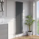Park Lane Traditional Vertical Colosseum Double Bar Column Radiator Anthracite - 1800 x 470mm
