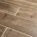 Cotage wood Light brown Matt Wood effect Porcelain Wall & floor Tile Sample