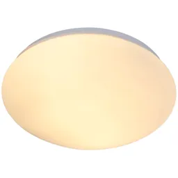 Matt White Bathroom Ceiling light