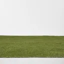 Boronia Artificial grass Sample 0.04m² (T)7mm
