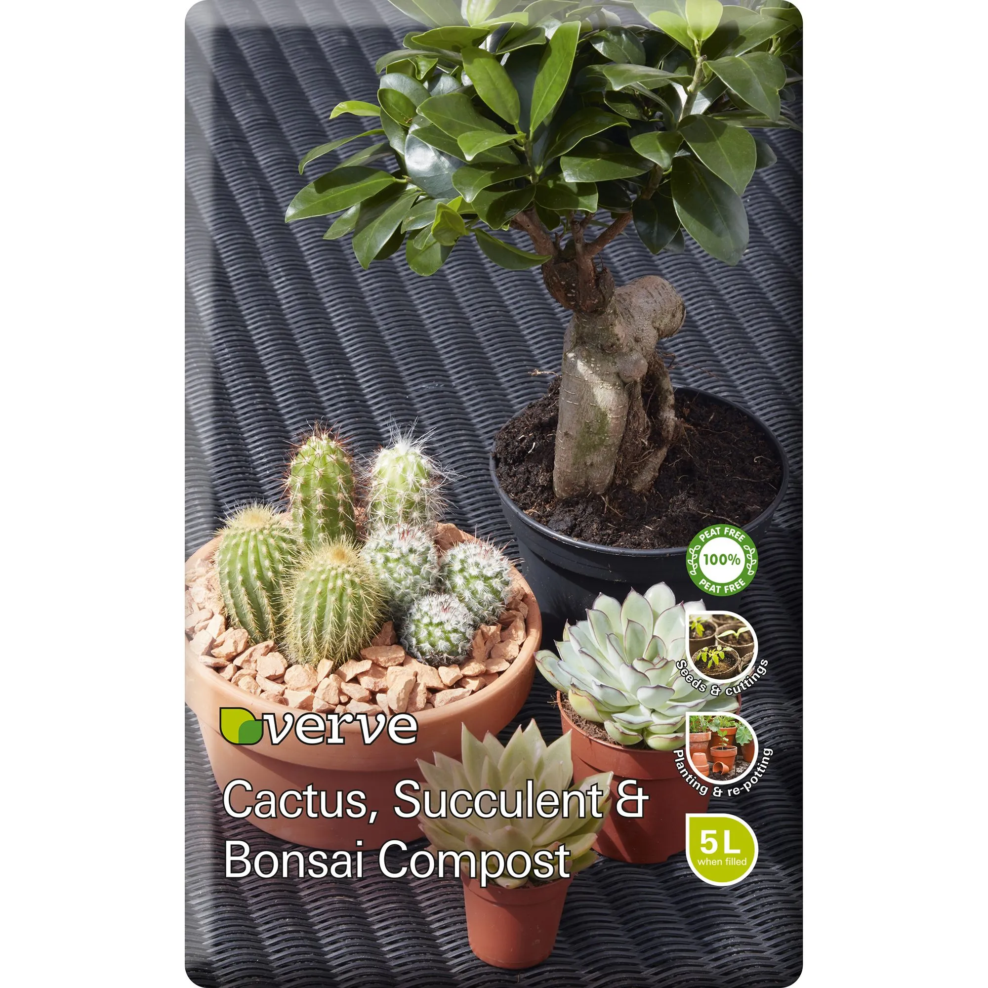 Verve Peat-free Cacti & succulent Compost 5L
