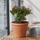 Piave Terracotta Polypropylene (PP) Round Plant pot (Dia)37cm
