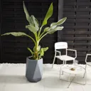 Gardon Light grey Fibreclay Hexagonal Plant pot (Dia)40cm