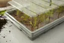 Verve Transparent Rectangular Plastic Gardening tray lid, (H)7cm (W)19cm