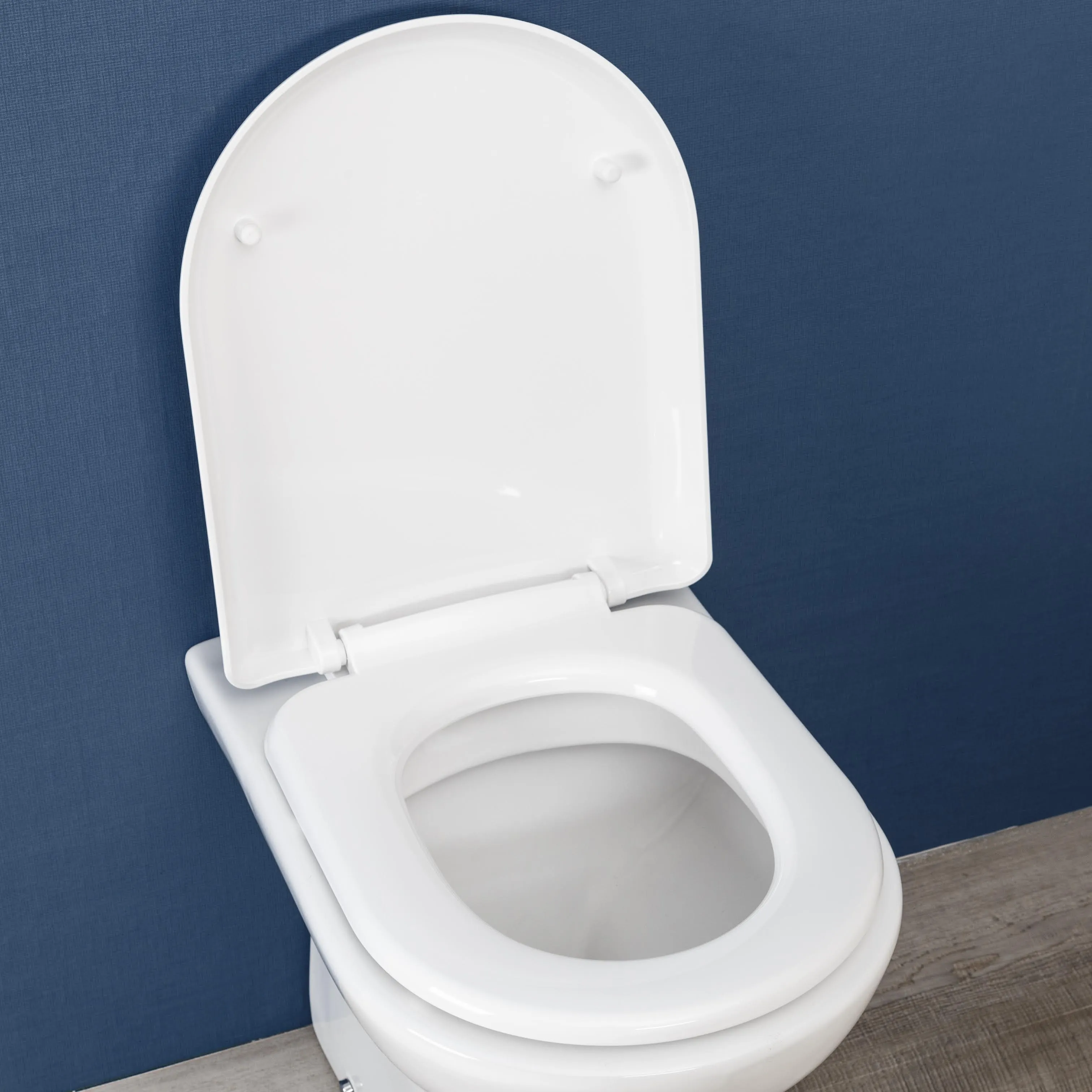 Ceramica Saturn Soft Close D Shape White Toilet Seat