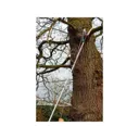 Kent and Stowe Telescopic Tree Pruner - 3m