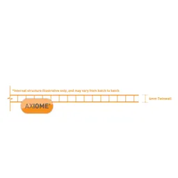 Axiome Clear Polycarbonate Twinwall Roofing sheet (L)4m (W)1000mm (T)6mm