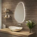 Sensio Mistral Curved Illuminated Colour-changing mirror (H)800mm (W)550mm