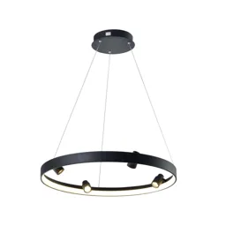 Denis LED hanging light, circular with 4 spots
