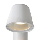 White Dingo LED path lamp with GU10 LED