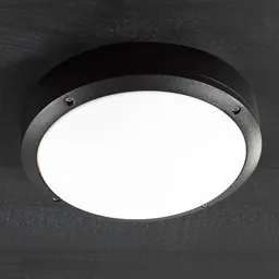 Desi 28 - a ceiling light for outdoors