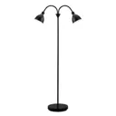 Two-bulb floor lamp Ray made of black metal