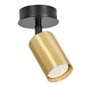 Zen 1 ceiling spotlight, 1-bulb, black/gold