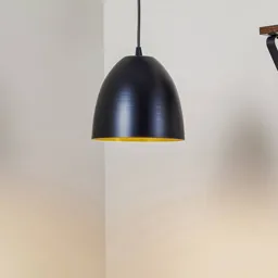 Lenox hanging light, one-bulb, black/gold
