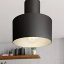 Rif hanging light, linear, 2-bulb, black