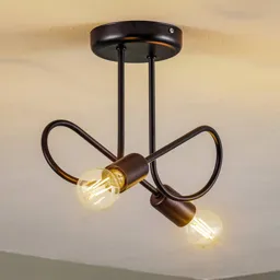 Oxford two-bulb ceiling light in black