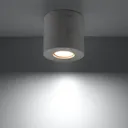Ara ceiling light as a concrete cylinder