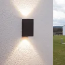 Tavi outdoor wall light with 2 Bridgelux LEDs