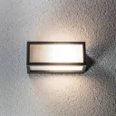 Decorative energy-saving outdoor wall light Tame