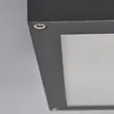 Nerea rectangular outdoor ceiling light
