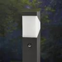 Kiran path light with motion detector