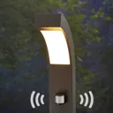 Lennik Motion Detector LED Path Lamp