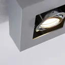 2-bulb Vince LED ceiling light