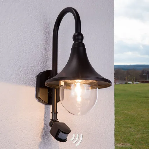 Daphne outdoor wall light with sensor, black