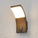LED outdoor wall light Timm with motion detector
